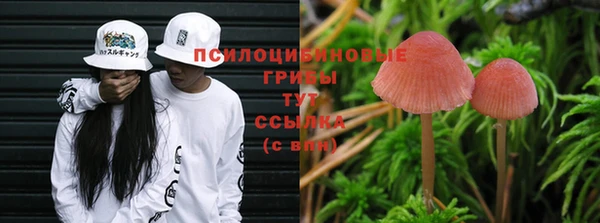 сатива Алексин