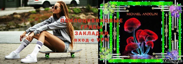 сатива Алексин