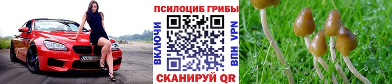 Псилоцибиновые грибы прущие грибы  даркнет сайт  Павловская 